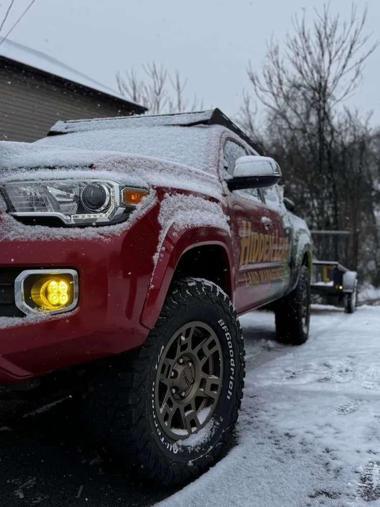 Expert yard cleanup service in Elizabeth, PA - Hidden Leaf Land Management