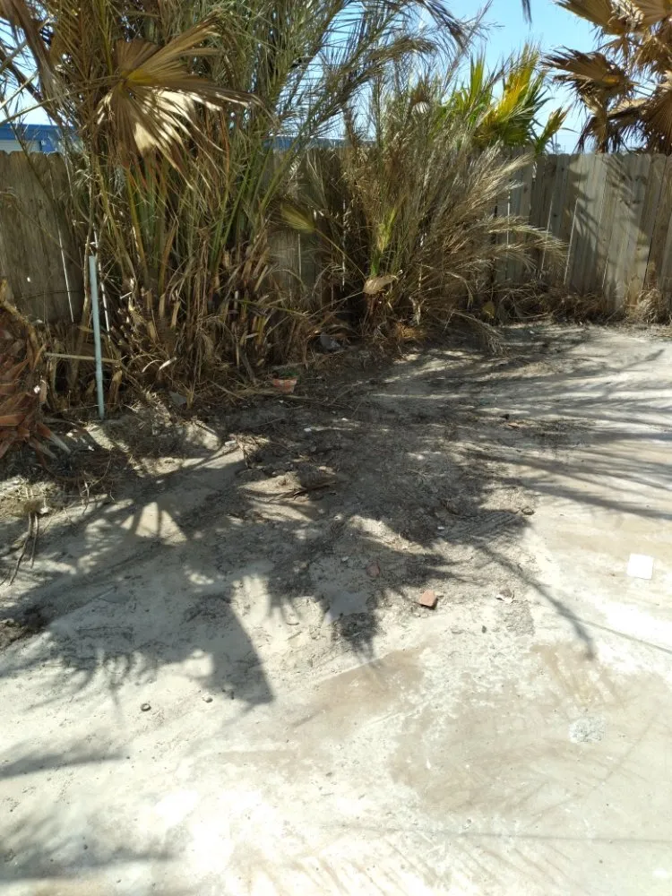Affordable yard maintenance for residential properties across CORP CHRISTI, TX - Hidden Leaf Lawn And Tree Service