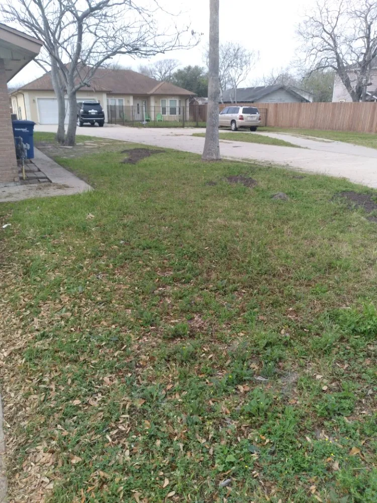 Local yard cleanup service near you across CORP CHRISTI, TX - Hidden Leaf Lawn And Tree Service