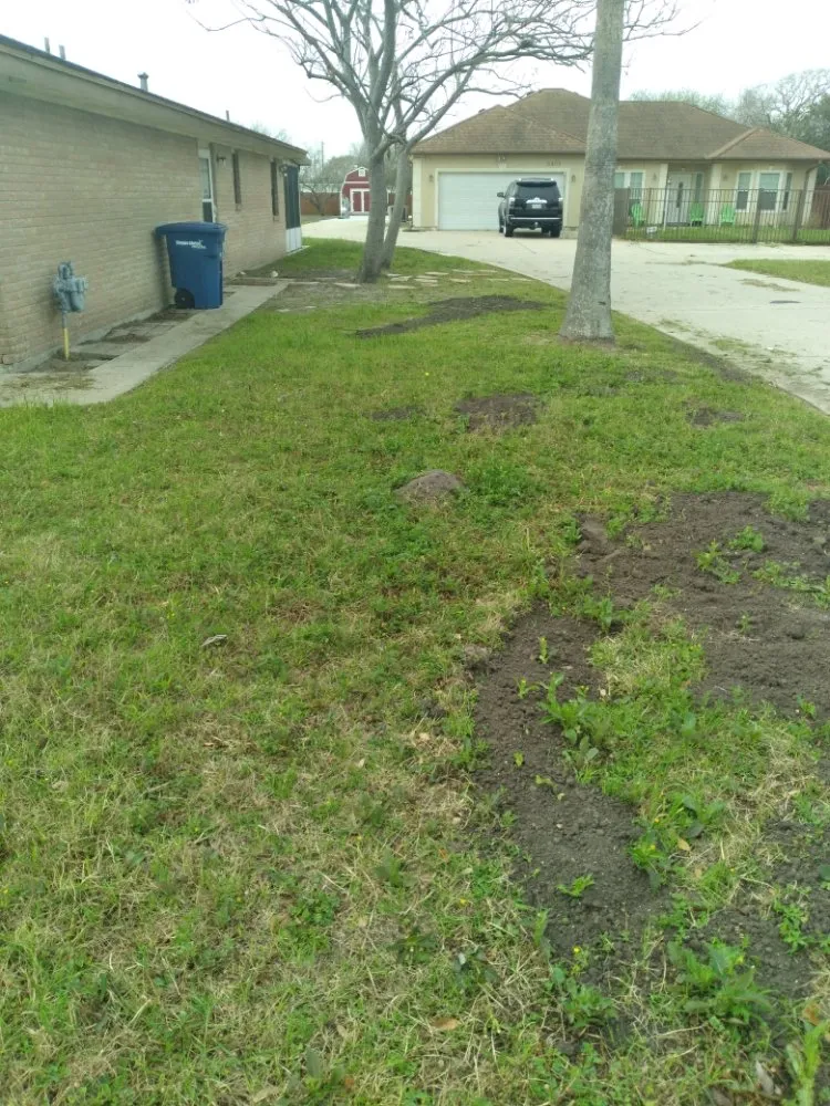 Affordable outdoor landscaping experts serving CORP CHRISTI, TX - Hidden Leaf Lawn And Tree Service