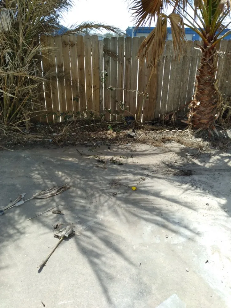 Professional landscape design for year-round maintenance across CORP CHRISTI, TX - Hidden Leaf Lawn And Tree Service