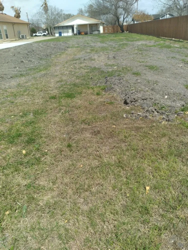 Reliable lawn care service experts serving CORP CHRISTI, TX - Hidden Leaf Lawn And Tree Service