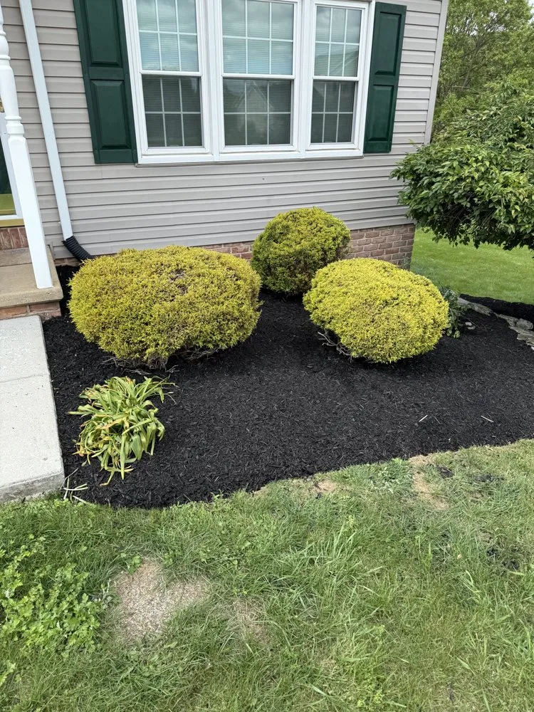 Affordable outdoor landscaping for beautiful yards across Manheim, PA - Hidden Oaks Outdoor Company