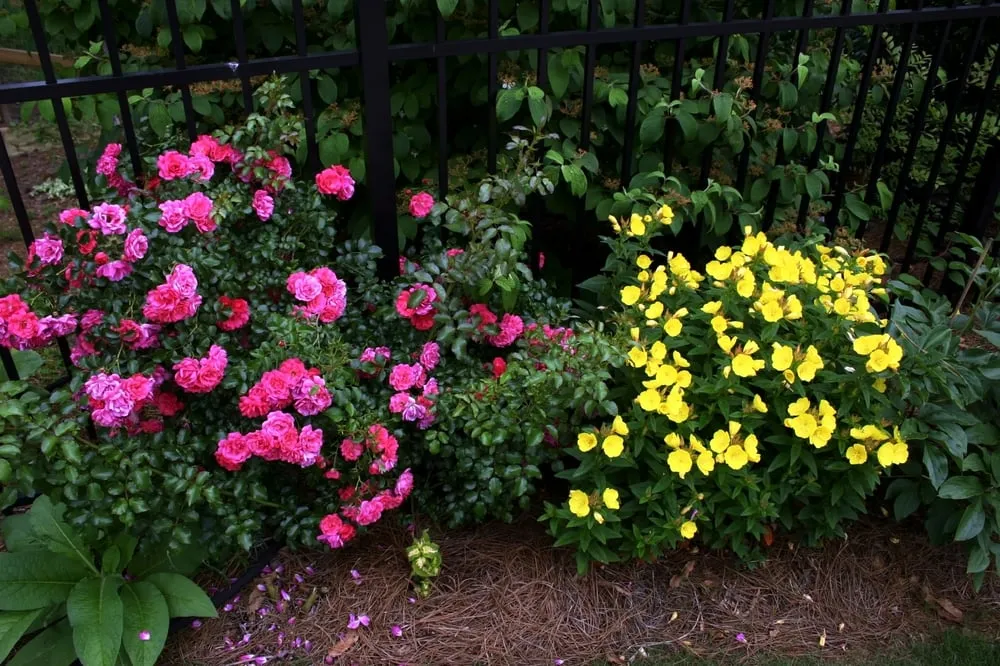 Affordable landscape design in Cartersville, GA by Hidden Pond Plant & Tree Farm