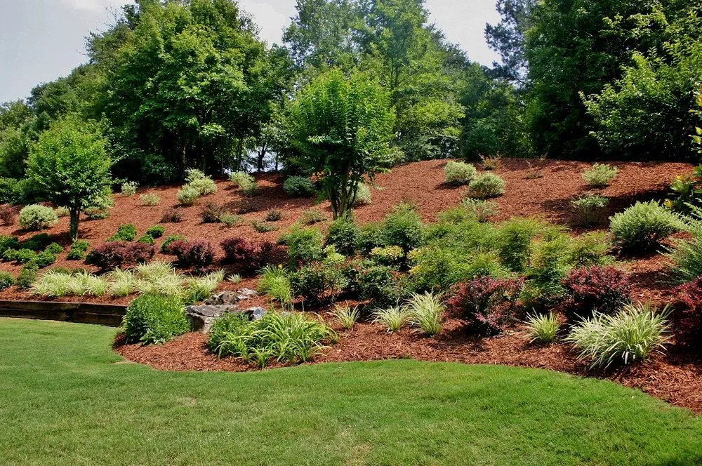 Professional lawn care service experts serving Cartersville, GA - Hidden Pond Plant & Tree Farm
