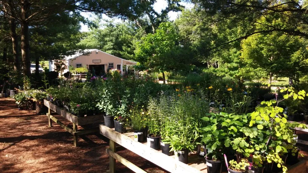 Professional yard cleanup service in Chana, IL by Hidden Timber Gardens