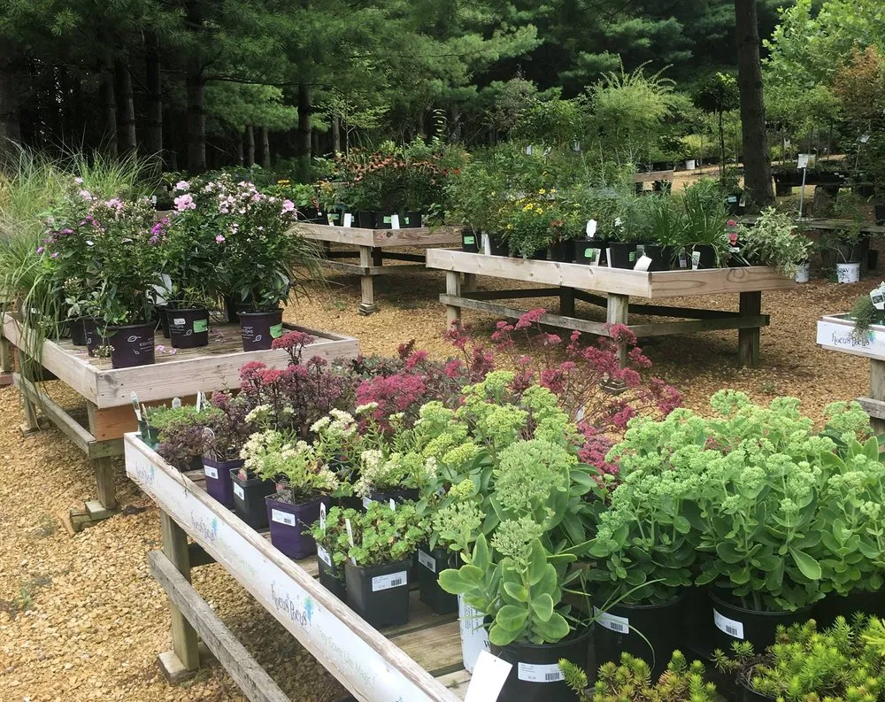 Expert lawn mowing service in Chana, IL by Hidden Timber Gardens