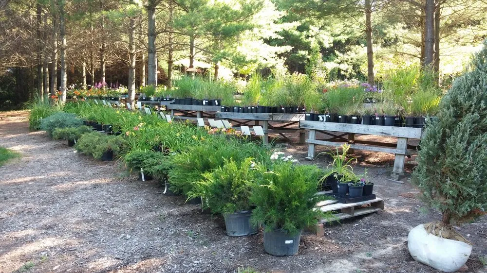 Affordable landscape design in Chana, IL - Hidden Timber Gardens