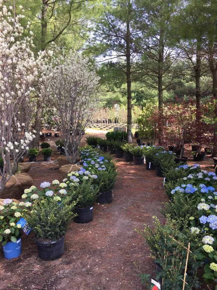 Local yard maintenance experts serving Chana, IL - Hidden Timber Gardens
