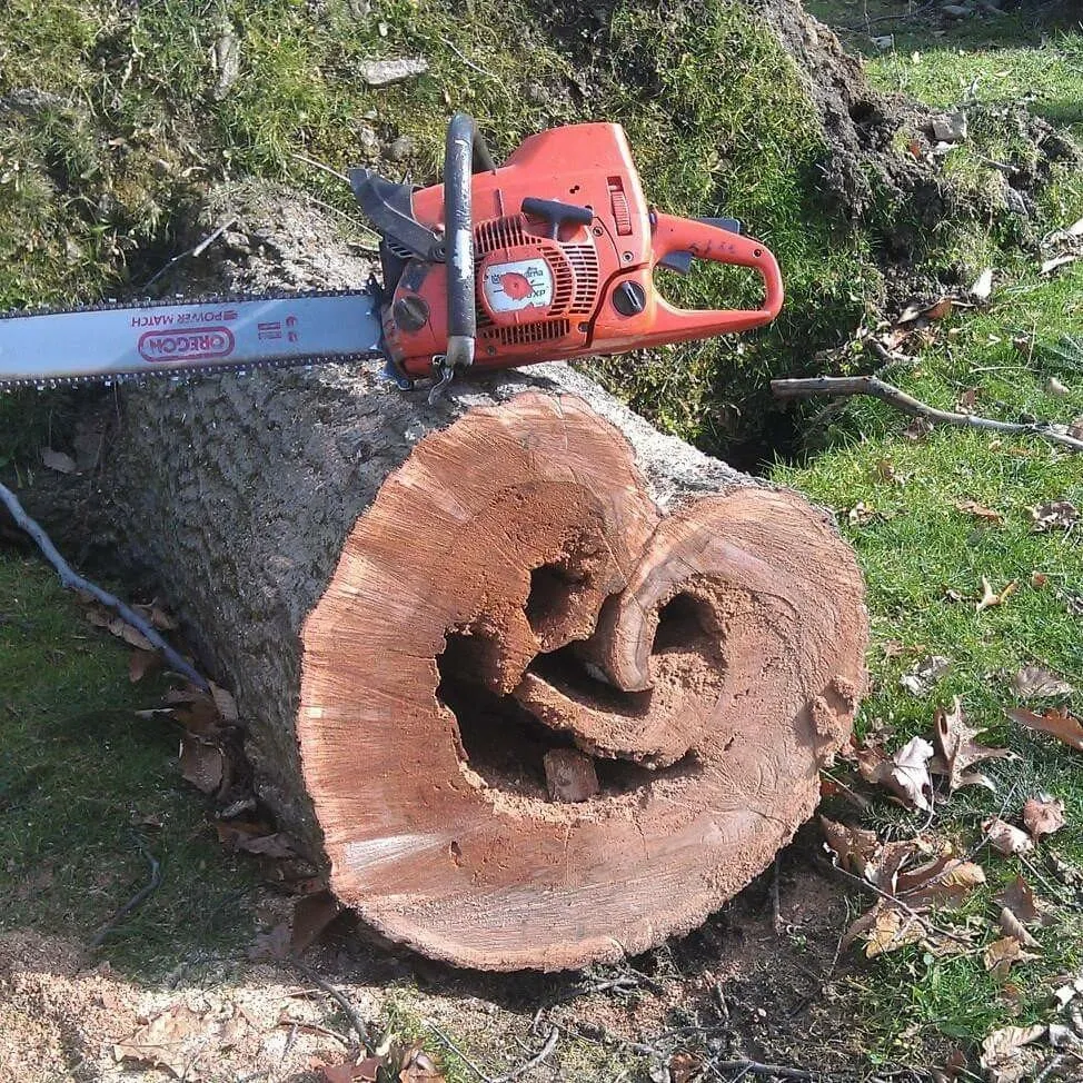 Local garden landscaping experts serving Hendersonville, NC - Hidden Treasures