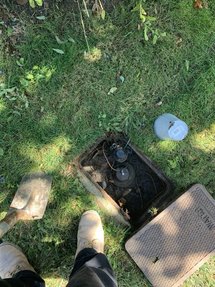 Professional landscaping services in Escondido, CA by Hidden valley landscaping