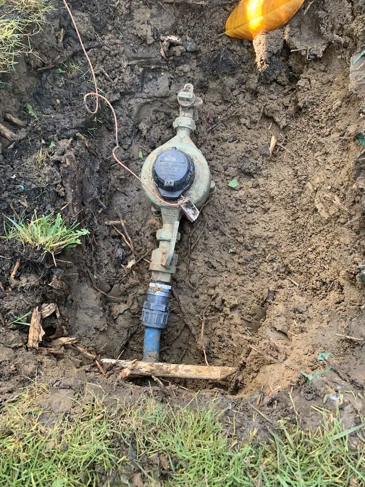 Professional yard maintenance for homes in Escondido, CA by Hidden valley landscaping