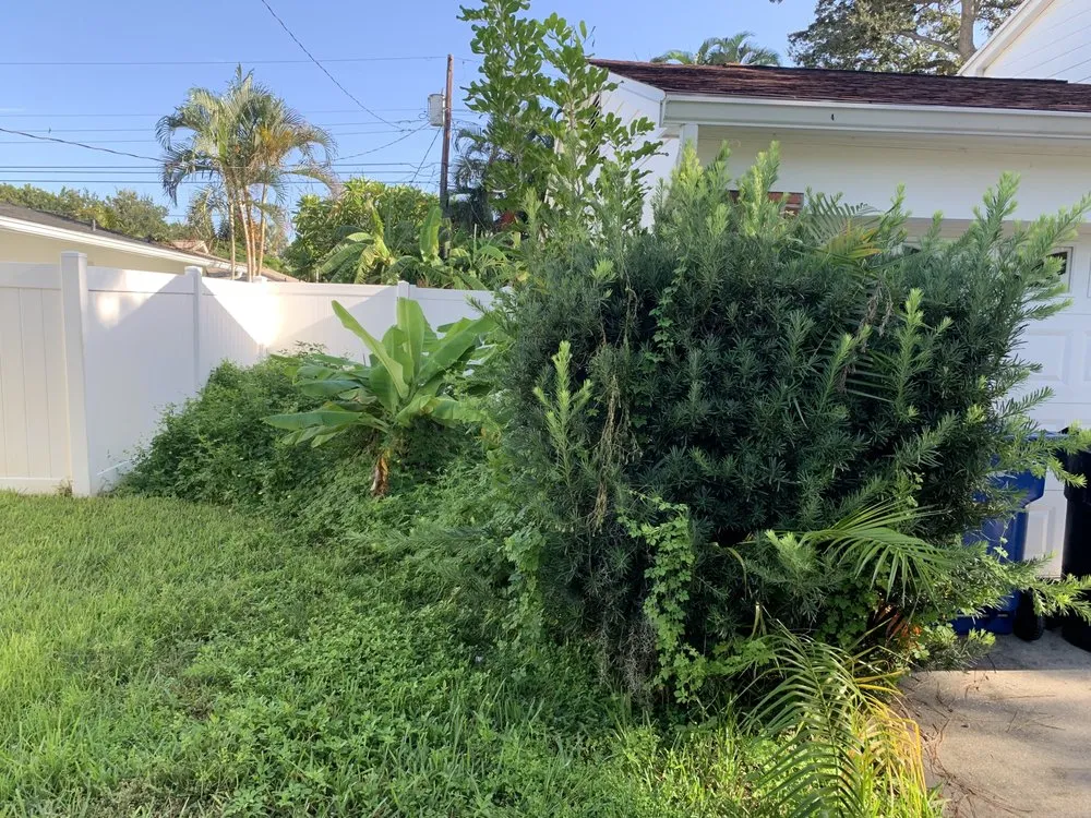 Professional yard maintenance with custom design in St. Petersburg, FL by Hidden Value