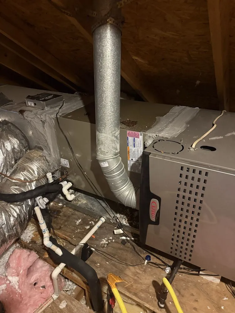 Local yard cleanup service near you across Austin, TX - Hidef Lawncare and Power Washing