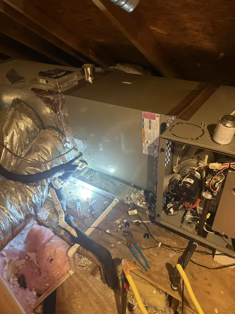 Affordable landscaping services in Austin, TX - Hidef Lawncare and Power Washing