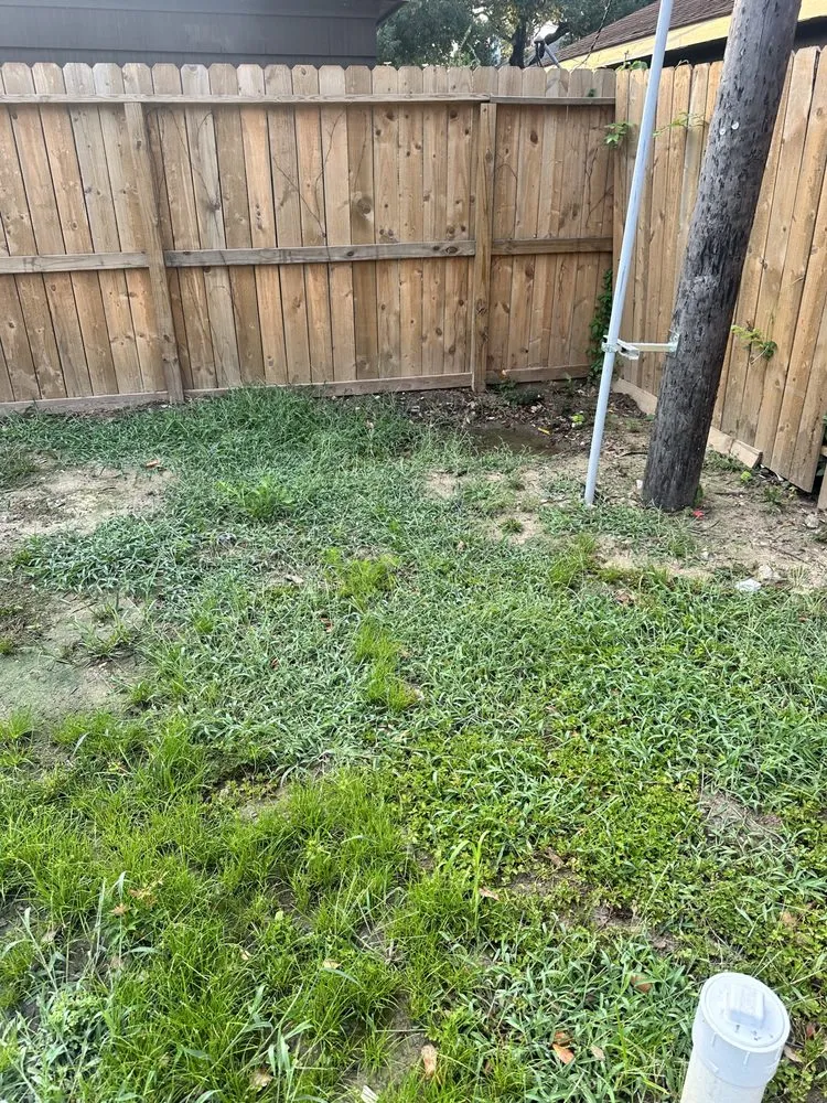 Affordable landscape design for year-round maintenance in Austin, TX by Hidef Lawncare and Power Washing