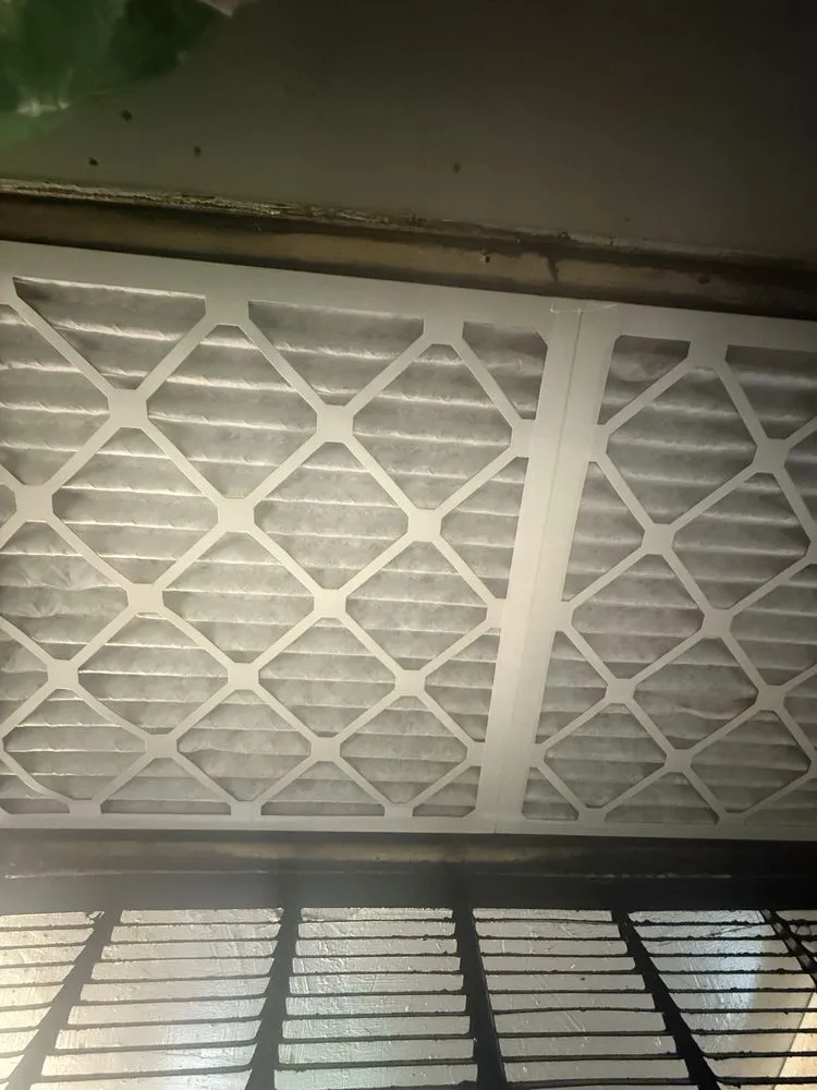 Local garden landscaping experts serving Austin, TX - Hidef Lawncare and Power Washing