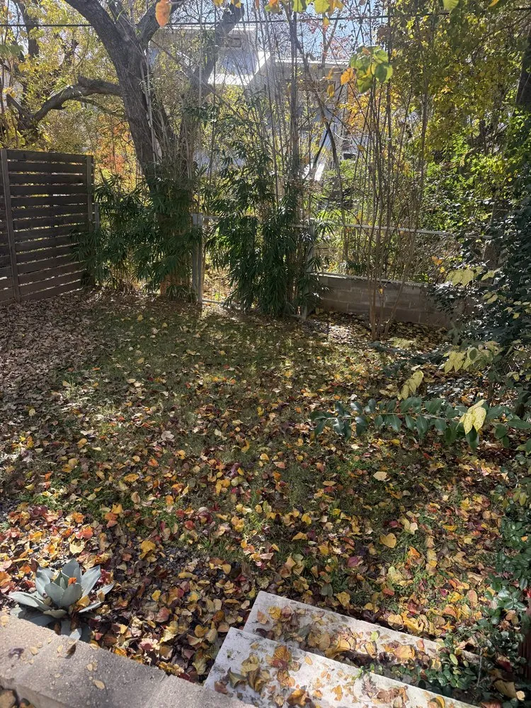 Top-rated outdoor landscaping in Austin, TX - Hidef Lawncare and Power Washing