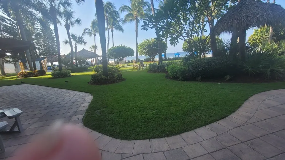 Reliable garden landscaping experts serving Miami, FL - Hiedra Landscaping Service