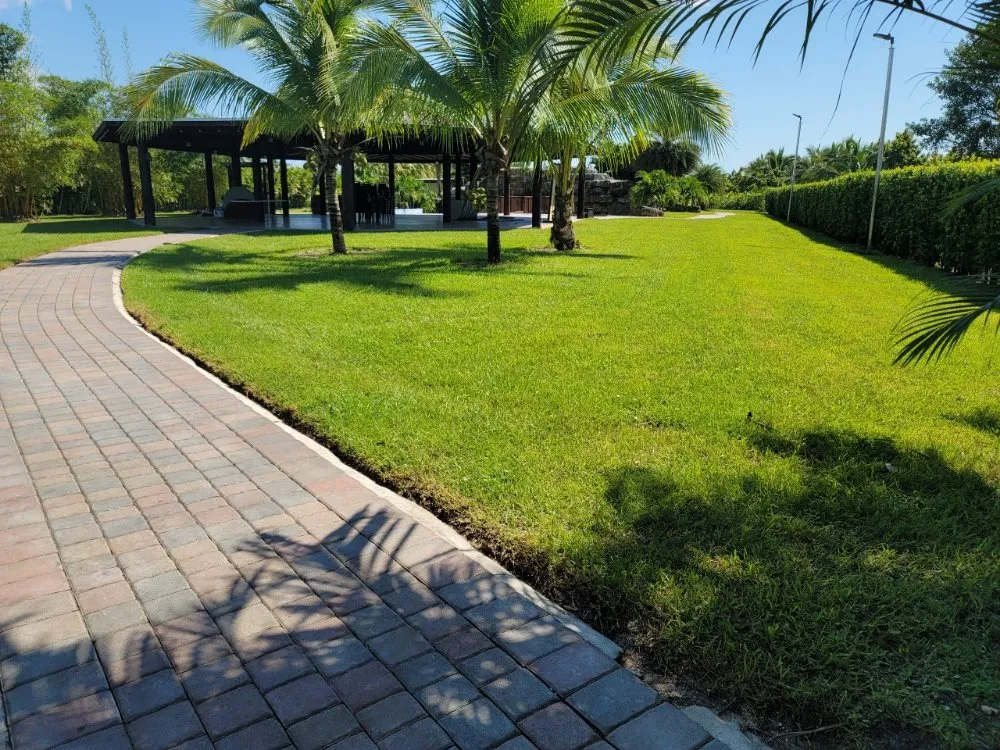 Expert yard maintenance experts serving Miami, FL - Hiedra Landscaping Service
