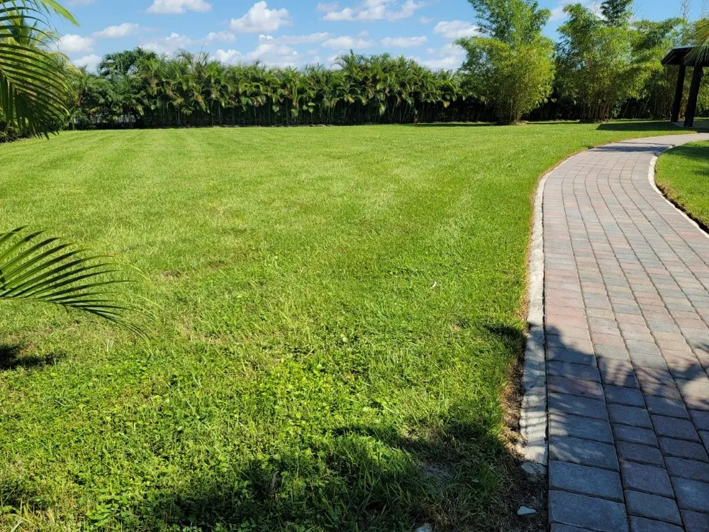 Trusted landscape installation experts serving Miami, FL - Hiedra Landscaping Service