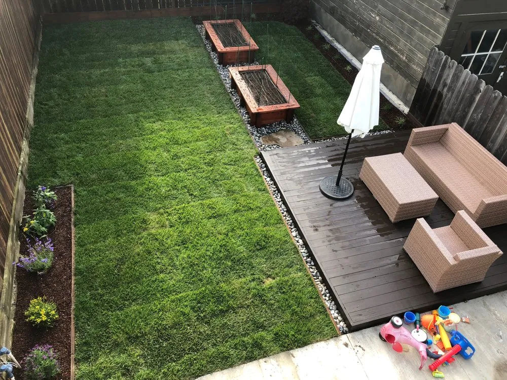 Professional yard cleanup service for residential properties across San Francisco, CA - Hien Landscaping