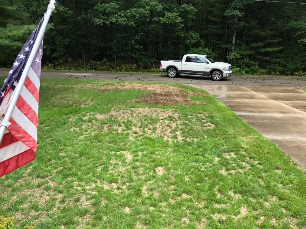 Professional garden landscaping for beautiful yards in Roscommon, MI by Higgins Lake Landscaping