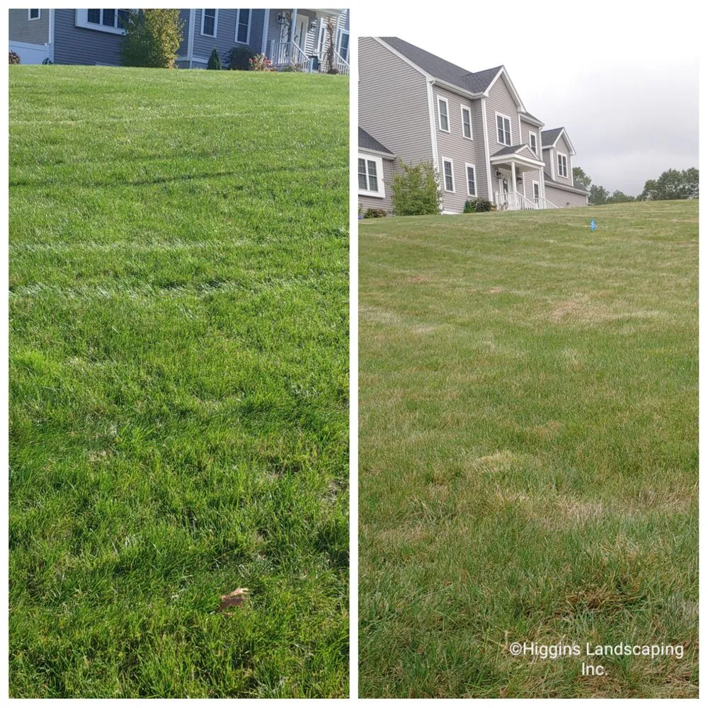 Local outdoor landscaping experts serving Bridgewater, MA - Higgins Landscaping