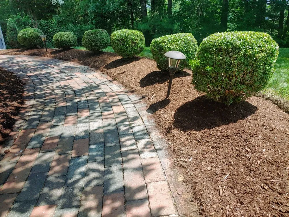 Professional lawn care service in Bridgewater, MA by Higgins Landscaping