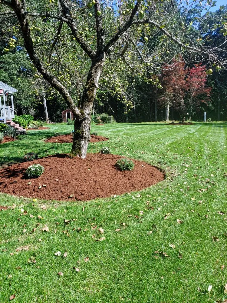 Top-rated landscape design experts serving Bridgewater, MA - Higgins Landscaping