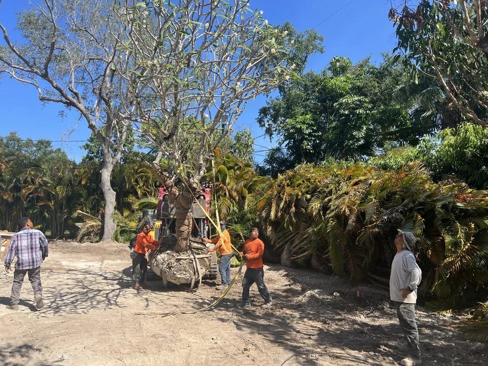 Local residential landscaping in Miami, FL by Higgins Landscaping Services