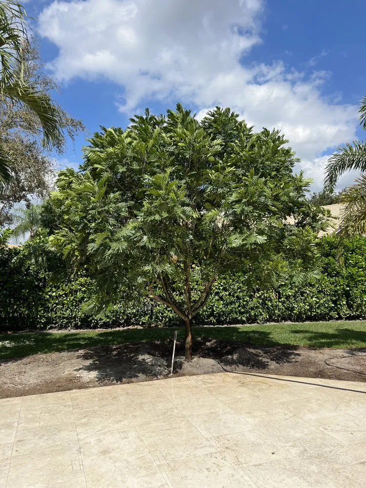 Expert residential landscaping with custom design across Miami, FL - Higgins Landscaping Services