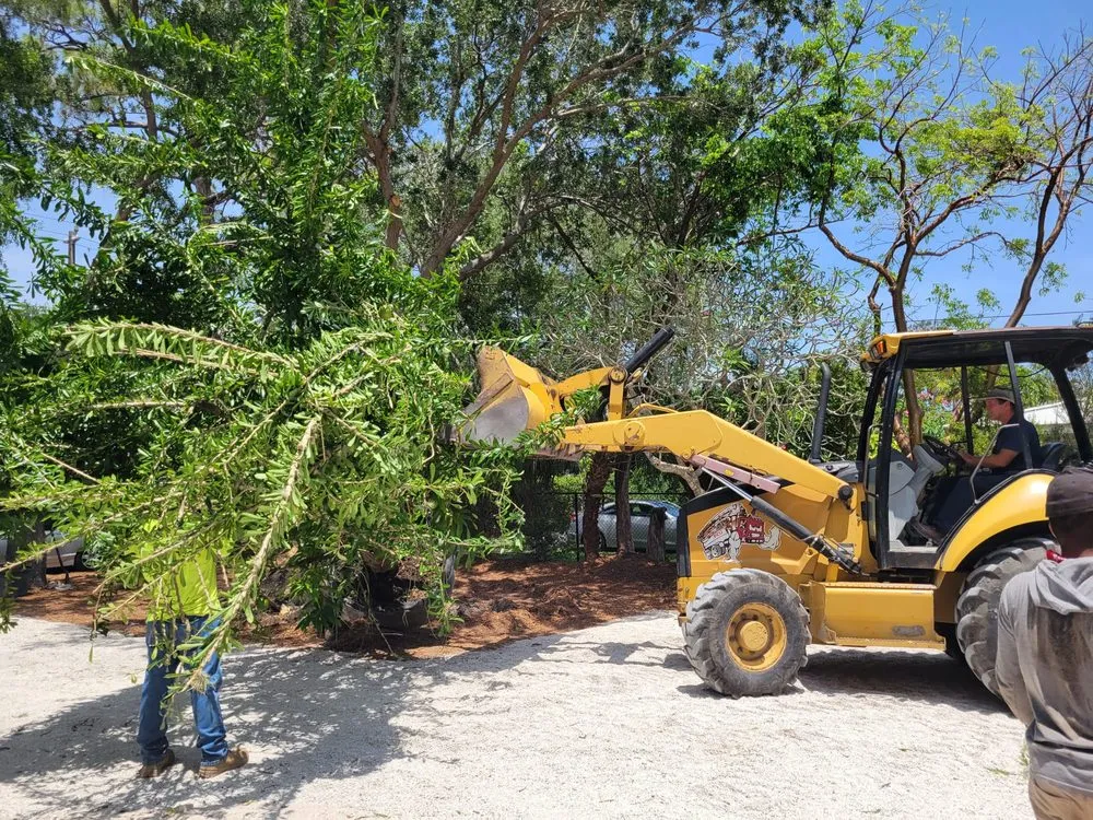 Custom yard maintenance for beautiful yards in Miami, FL by Higgins Landscaping Services