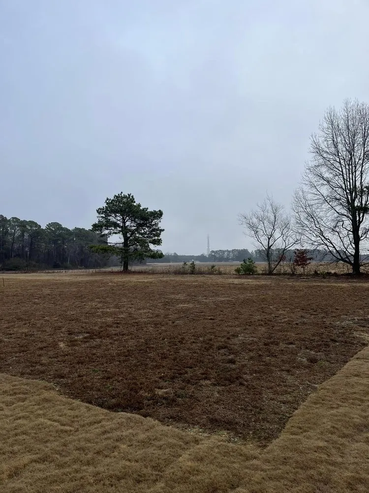 Top-rated yard cleanup service in Four Oaks, NC - Higgins Lawn N Landscape Service