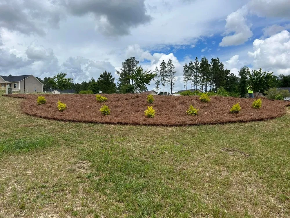 Top-rated yard maintenance experts serving Four Oaks, NC - Higgins Lawn N Landscape Service