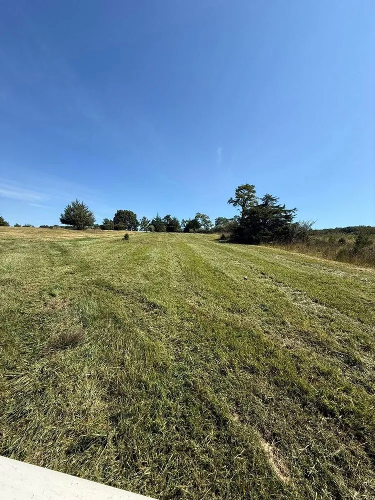 Local landscaping services for year-round maintenance in Raphine, VA by Higgins Property Services