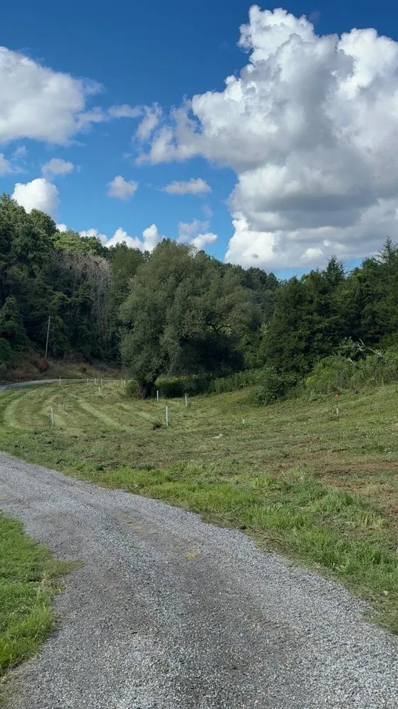 Local garden landscaping in Raphine, VA - Higgins Property Services
