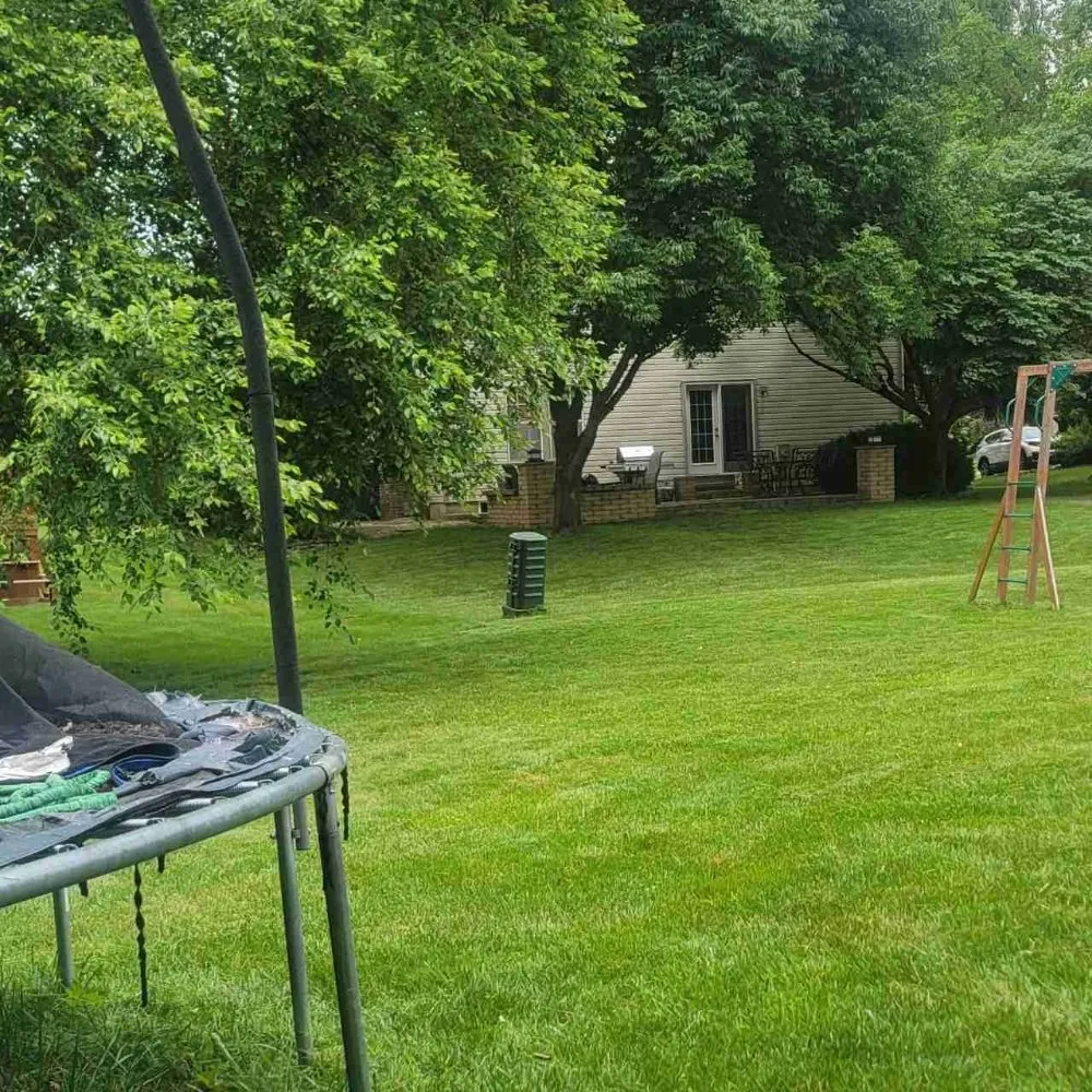 Top-rated yard cleanup service experts serving Grove City, OH - High 5 landscaping