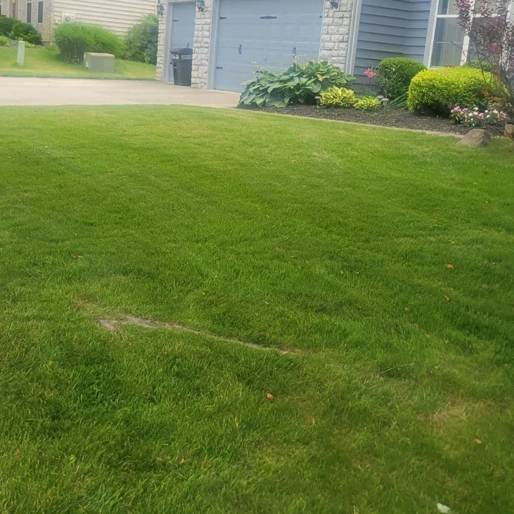 Local yard cleanup service near you in Grove City, OH by High 5 landscaping