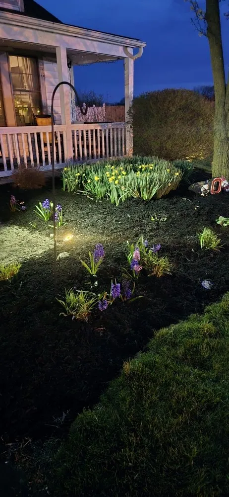 Expert yard cleanup service in Grove City, OH by High 5 landscaping