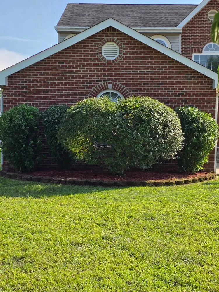 Custom landscape design for homes across Grove City, OH - High 5 landscaping