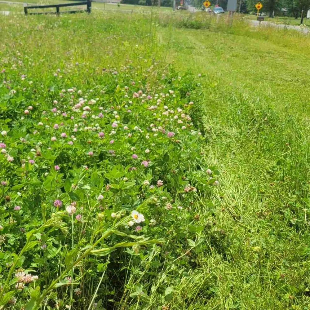 Professional landscape design experts serving Grove City, OH - High 5 landscaping