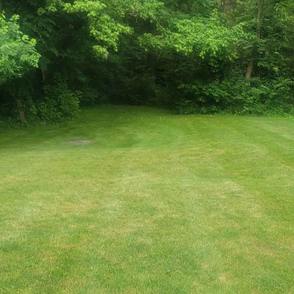Custom lawn mowing service near you in Grove City, OH by High 5 landscaping