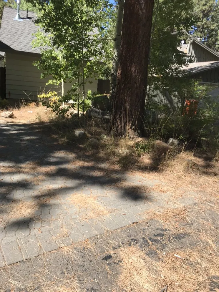 Custom lawn care service near you across South Lake Tahoe, CA - High Altitude Lawn Care & Hauling