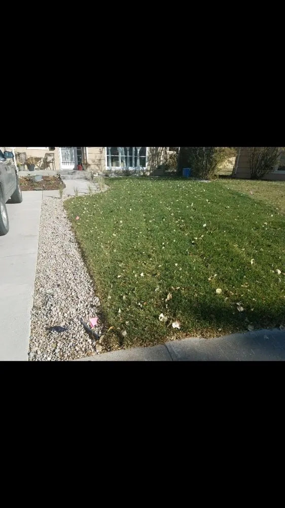 Trusted landscape design in Laramie, WY by High Altitude Nursery & Landscaping