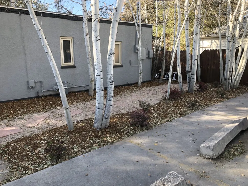 Local landscape design near you in Laramie, WY by High Altitude Nursery & Landscaping