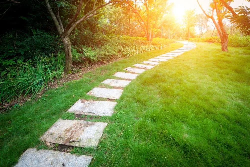 Affordable yard maintenance experts serving Augusta, KS - High Caliber Landscape