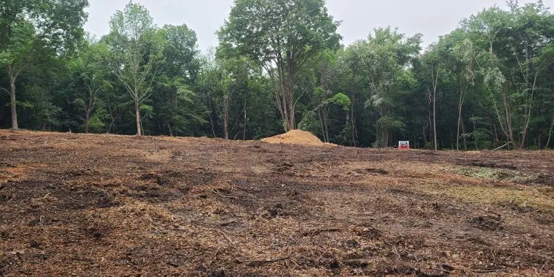 Trusted yard maintenance in East Stroudsburg, PA - High Cause Construction