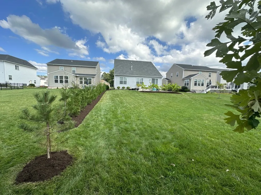 Custom lawn mowing service in Amherst, OH - High Class Grass