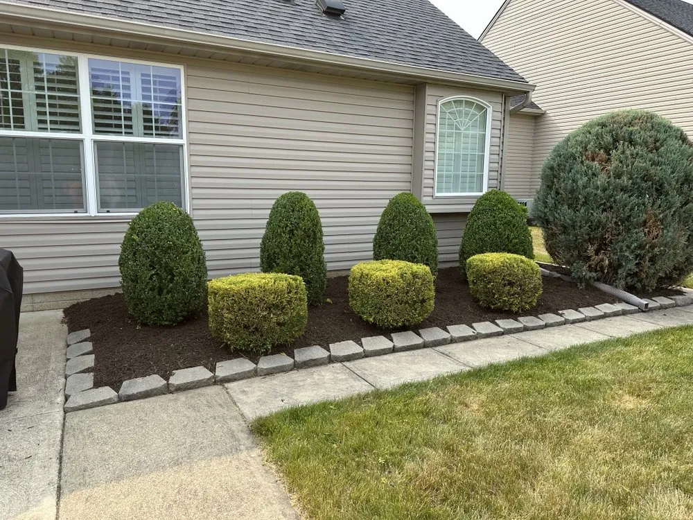 Top-rated yard cleanup service in Amherst, OH - High Class Grass